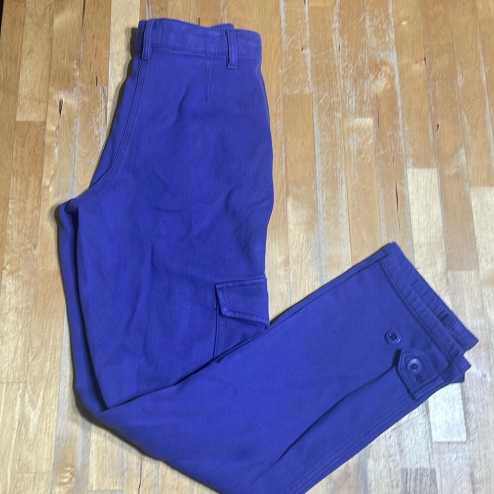Wilfred free purple cargo style pants